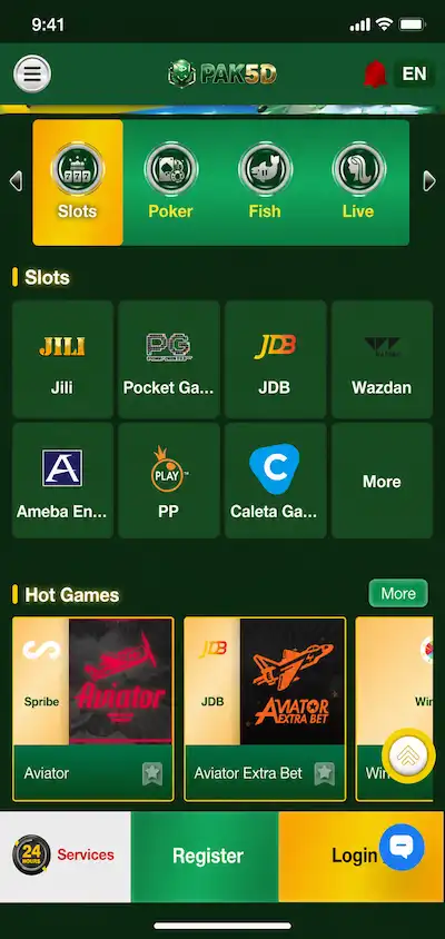 PAK5D Game Interface